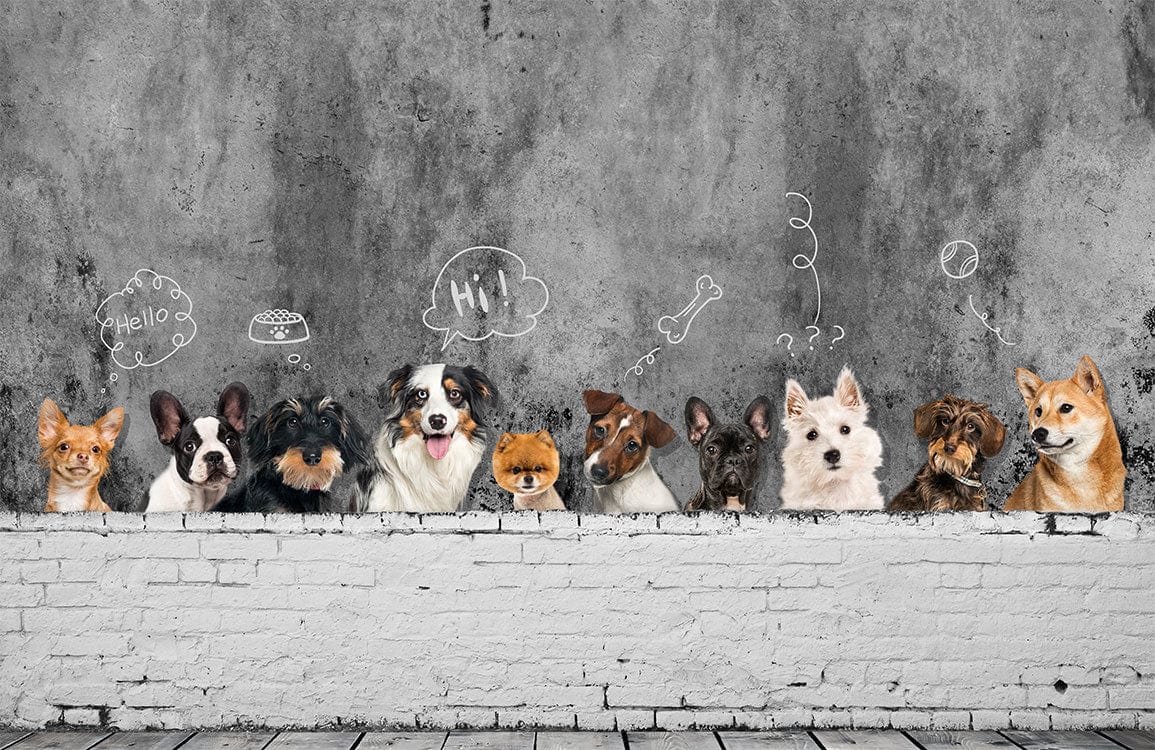 Essential Tips for First Time Pet Owners to Ensure a Happy Healthy Pet Life