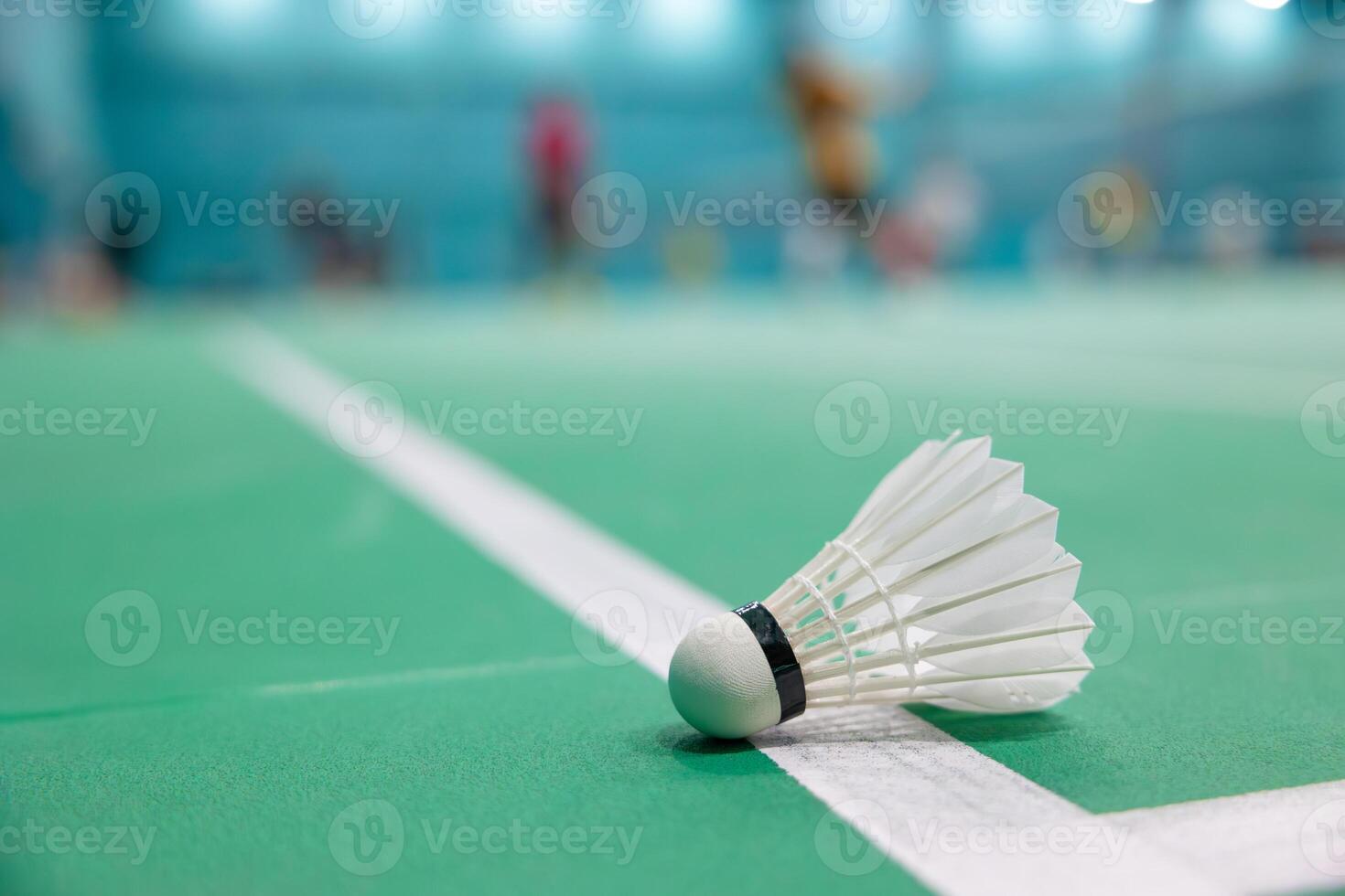 The Role of Women in Sports and the Ongoing Fight for Equality and Recognition