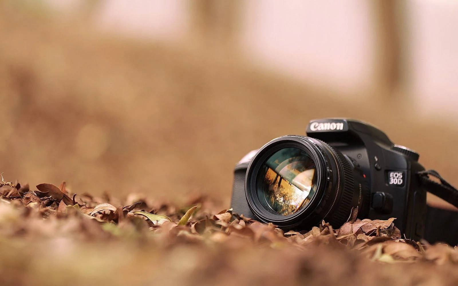 Essential Photography Gear Every Beginner Must Have to Get Started the Right Way