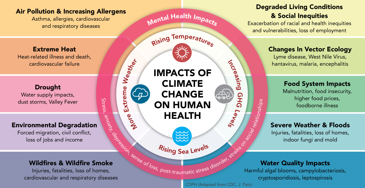 How Climate Change Is Reshaping Insurance Premiums in 2025